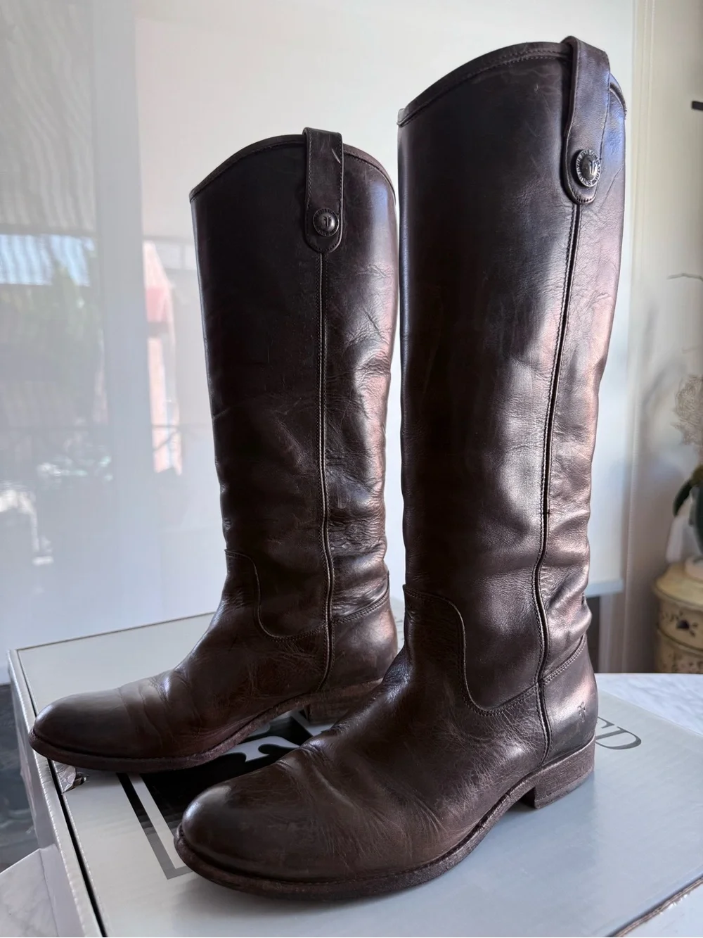 Frye Women's Over-the-Knee Leather Boots in Dark Brown